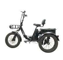 RIDE-E X13 Electric...