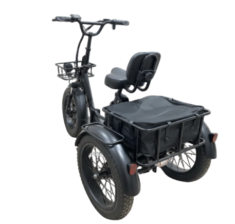 RIDE-E X13 Electric Tricycle (20")