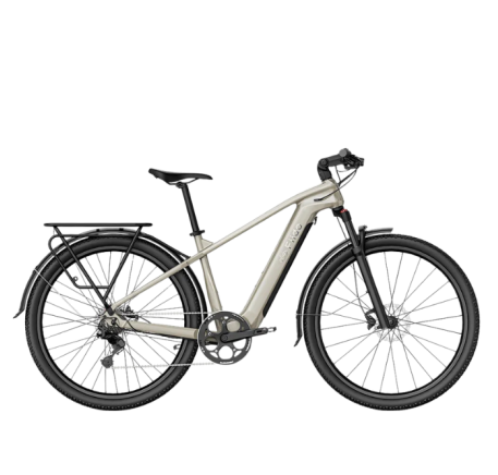 FIIDO NOMADS Electric Bike (29")