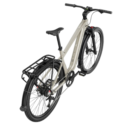 FIIDO NOMADS Electric Bike (29")