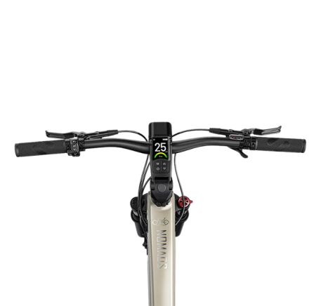 FIIDO NOMADS Electric Bike (29")