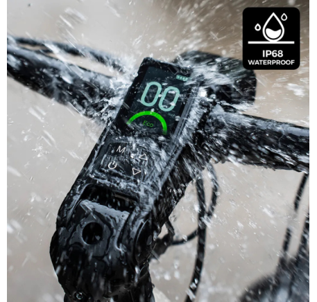 FIIDO NOMADS Electric Bike (29")