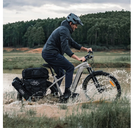 FIIDO NOMADS Electric Bike (29")