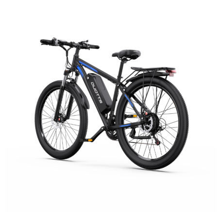 DUOTTS C29L Hydraulics electric bike (29")