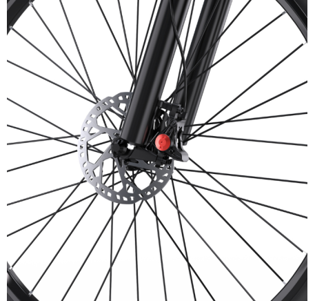 DUOTTS C29L Hydraulics electric bike (29")