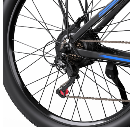 DUOTTS C29L Hydraulics electric bike (29")