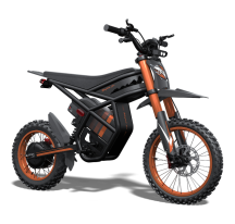 Riding Times GT54 electric...