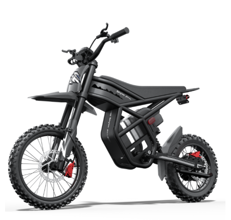Riding Times GT54 Pro electric bike (14")