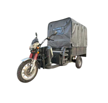 Cargo rear rain cover for...