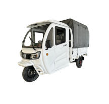Electric cargo scooter...