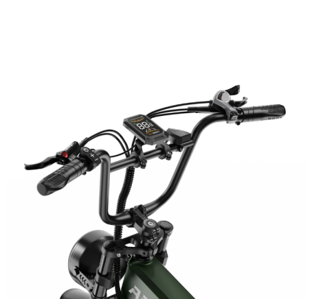 APEFOX RH20 (500W x 2) electric bike