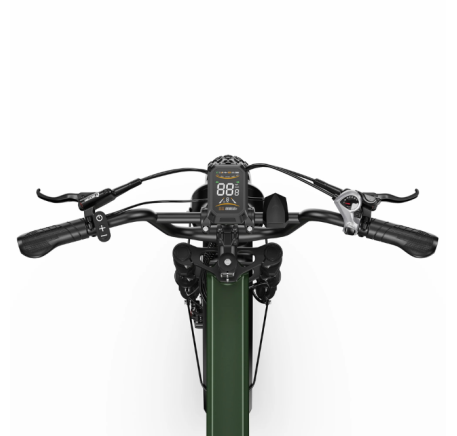 APEFOX RH20 (500W x 2) electric bike