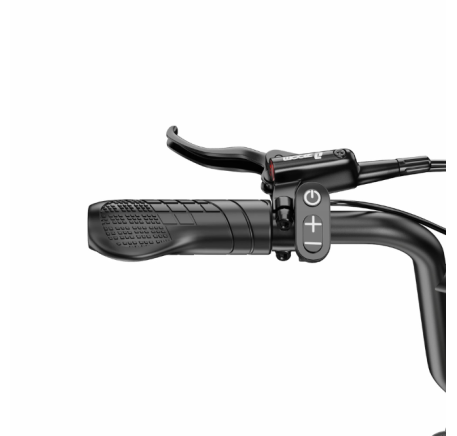 APEFOX RH20 (500W x 2) electric bike