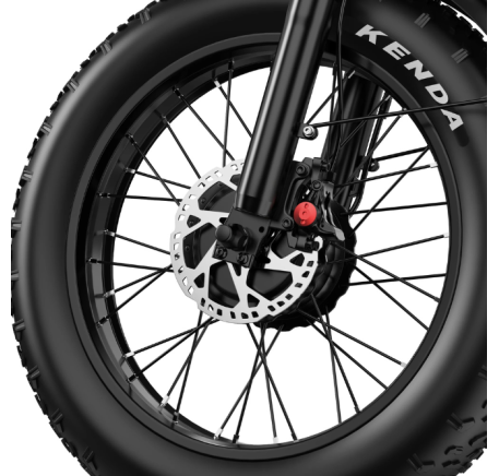 APEFOX RH20 (500W x 2) electric bike