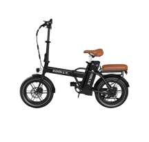 KOOLUX X10 Folding Electric...