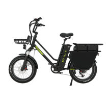 KOOLUX X8 Electric Cargo...