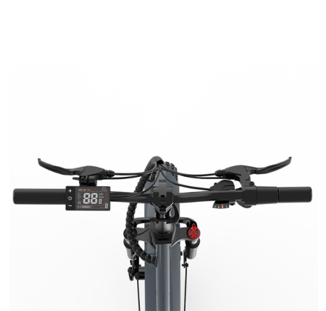 RIDE-E X16 electric bike (20")