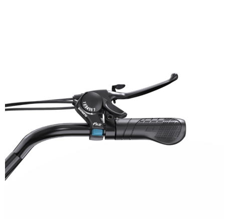 APEFOX RH30 (18") electric bike
