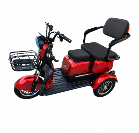 Electric tricycle wheelchair RIDE-E M20R PRO