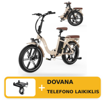 RIDE-E X16 electric bike (20")