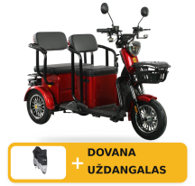 Electric tricycle scooter...