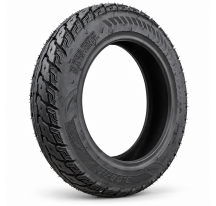 3.00-10 Tire for the RIDE-E...