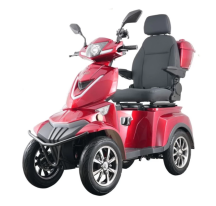 Electric mobility scooter...