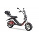 electric scooter BIG CAT (18")