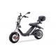 electric scooter BIG CAT (18")