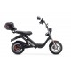 electric scooter BIG CAT (18")