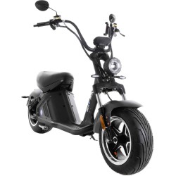 electric scooter SXT Grizzy GT EEC (12")