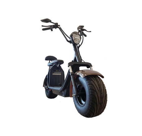 electric scooter CITYCOCO (18")