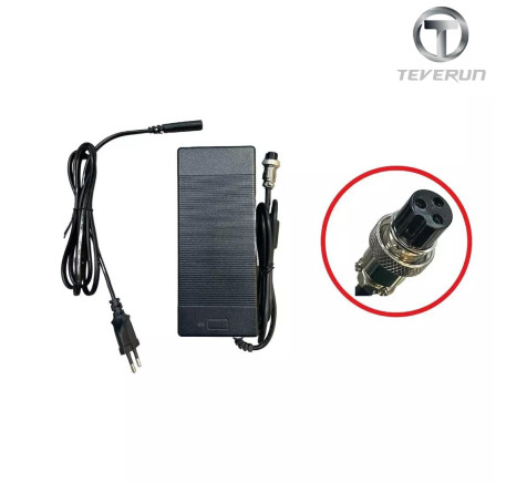 Charger 84V 2A for Zero 11X (For 72V battery)