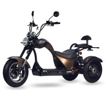  CITY COCO MOTO 2x2000W