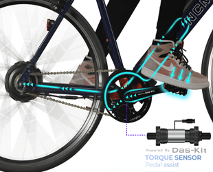 pas or torque sensor ebike